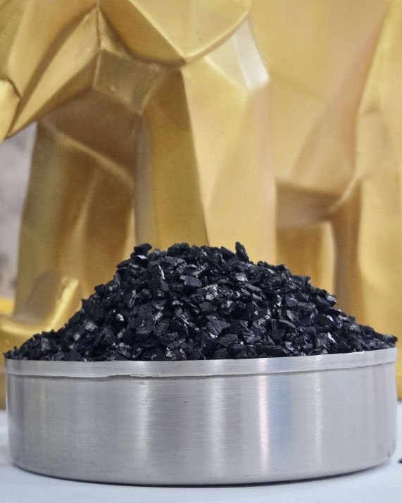 Gold Recovery Carbon